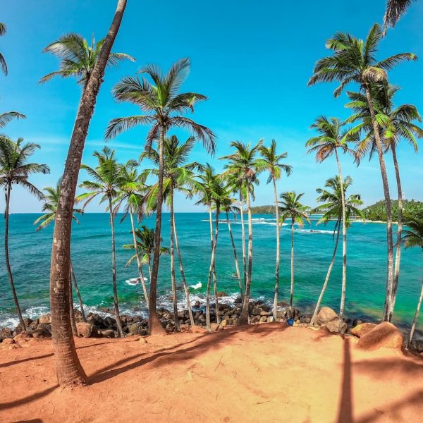 dinuka-lankaloka-iduEaeBB_rQ-unsplash(1)(1)